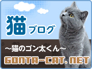 猫ブログ